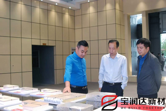 市產業集聚區冀偉主任一行來訪寶潤達視察